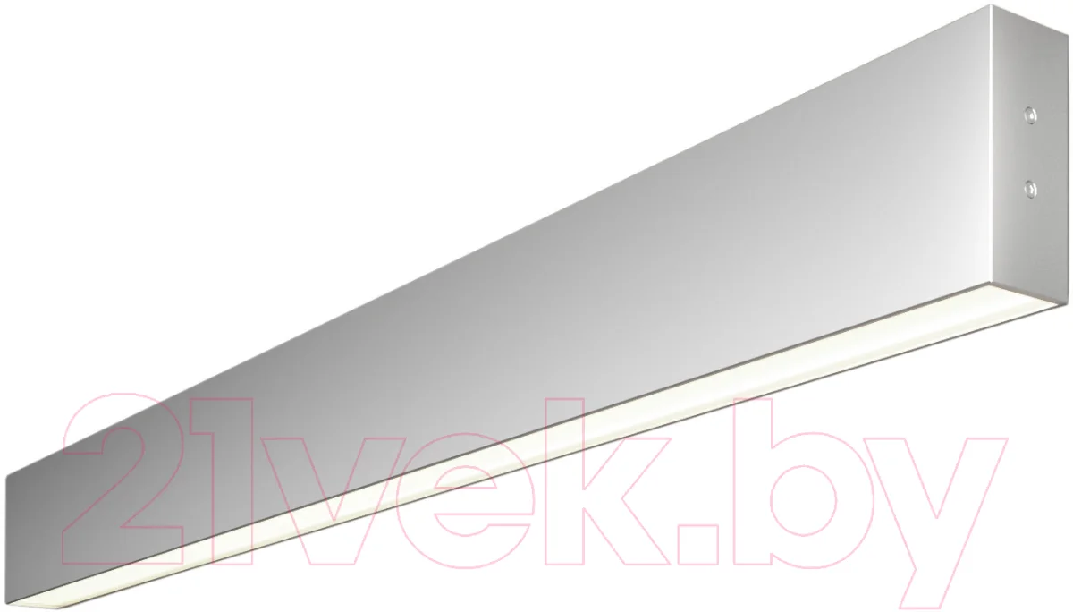 Подсветка для картин и зеркал Elektrostandard 101-100-40-78 30W 4200K (матовое серебро)