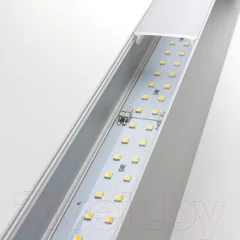Подсветка для картин и зеркал Elektrostandard 101-100-40-78 30W 4200K (матовое серебро) — фото 4