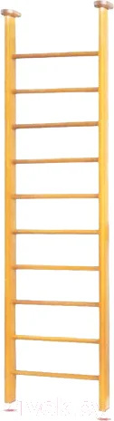 Шведская стенка Карусель 2Д.01.01 в распор (светлый)