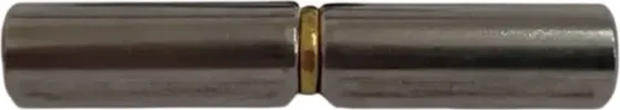 Петля воротная Прогейт 20x100