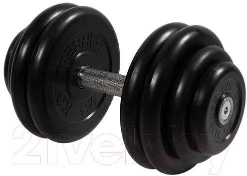 Гантель MB Barbell Профи 28.5кг