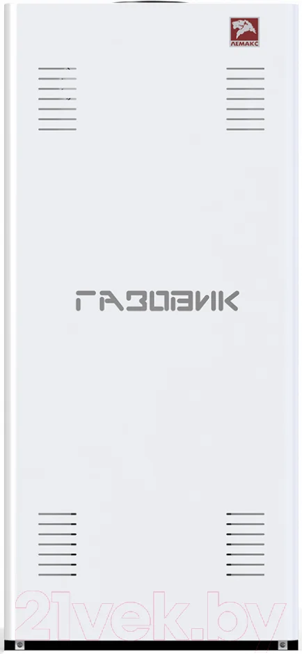 Газовый котел Лемакс Газовик АОГВ 29.1