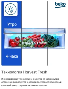 Холодильник с морозильником Beko B3DRCNK402HXBR — фото 8