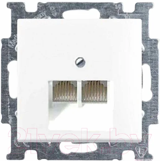 Розетка ABB Basic 55 / 13010416-01.39-01.01-01.00 (белый, лицевая панель)