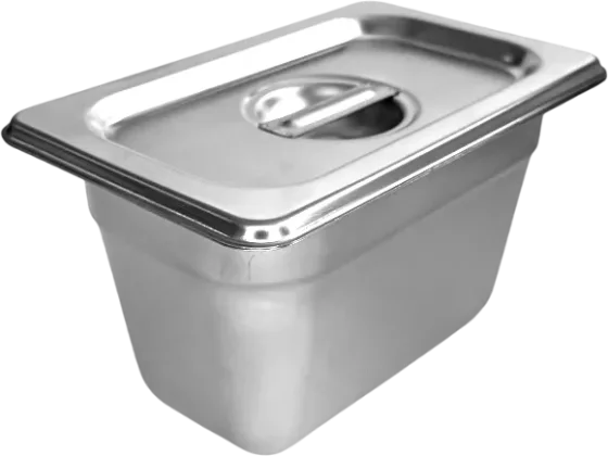 Гастроемкость Gastromix GN 1/9-100 (176x108x100мм, с крышкой)