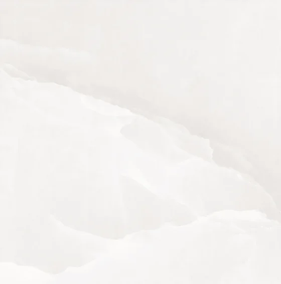 Плитка Netto Gres Onyx White Matt (600x600)