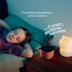 Умная колонка Sber Boom Home SBDV-00171G (салют серый) — фото 8
