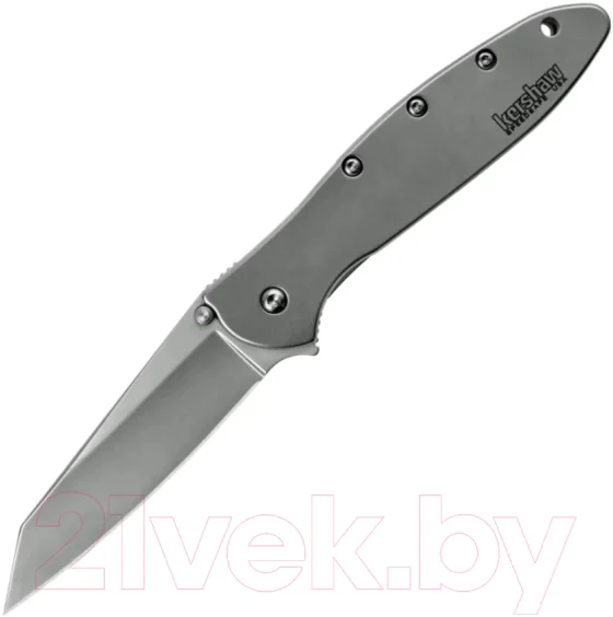 Нож складной Kershaw Leek Random / 1660R