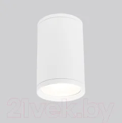 Светильник уличный Elektrostandard Light 2101 35128/H (белый) — фото 1