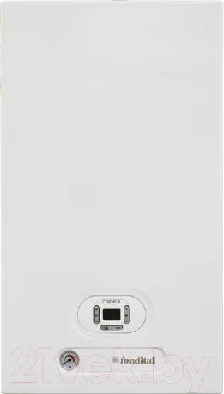 Газовый котел Fondital Minorca CTFS 24 (с дымоходом)