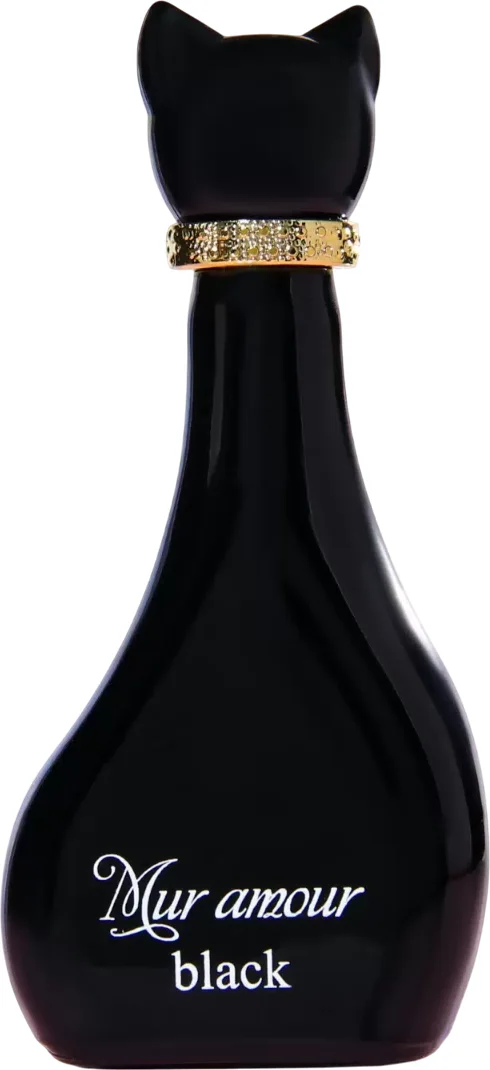 Туалетная вода Positive Parfum Mur Amour Black (45мл)