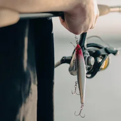 Воблер Rapala Precision Xtreme Mavrik Sw 110 / PXRMS110-PLD — фото 8
