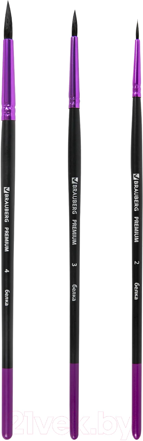 Набор кистей Brauberg Premium / 201020 (3шт)