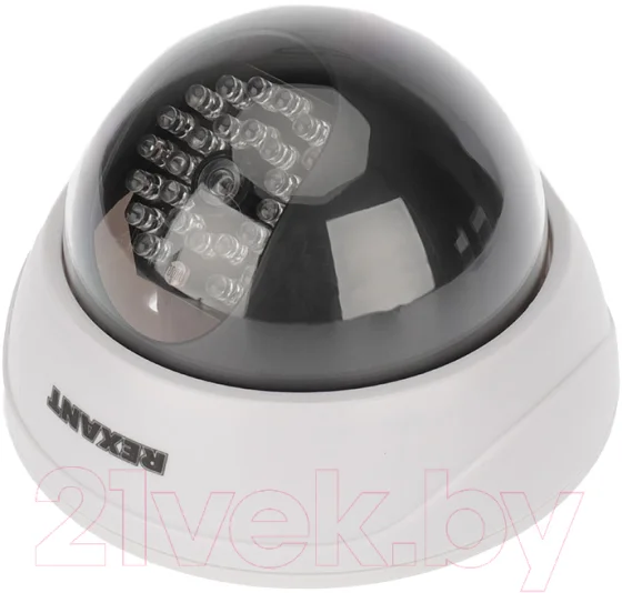 Муляж камеры Rexant RX-305 / 45-0305