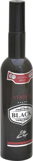 Туалетная вода Positive Parfum Vodka Black (100мл)