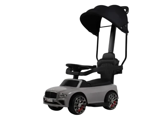 Каталка детская RiverToys Z005ZZ-TP (серый)